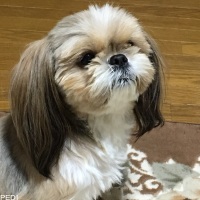 まみちゃん
