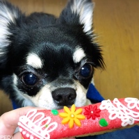 蒼くん
