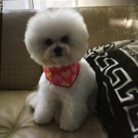 きむこちゃん