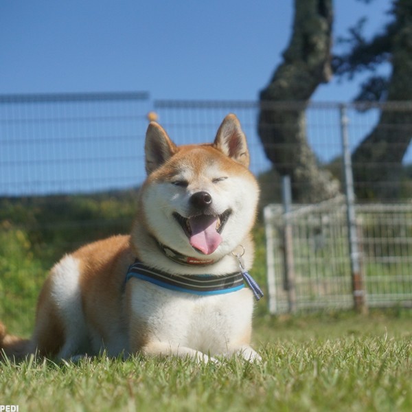 南斗くん
