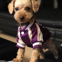 きなこちゃん
