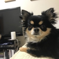 りょうまくん