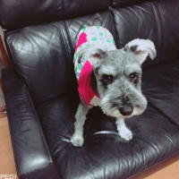 テリーくん