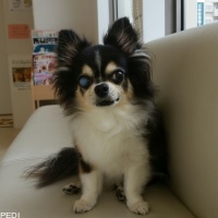 REOくん