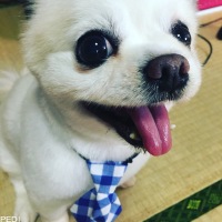 ルイくん