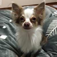 ミロくん