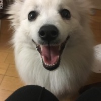 リオちゃん