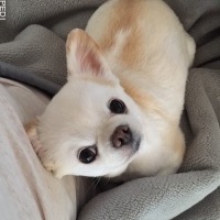 小雪ちゃん