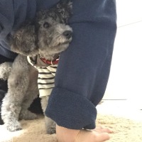 あめちゃん