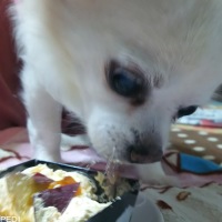 ララくん