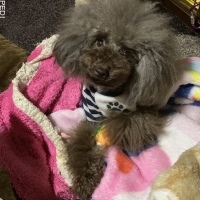 エアロくん