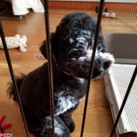 そらちゃん