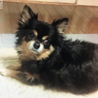 うるるくん