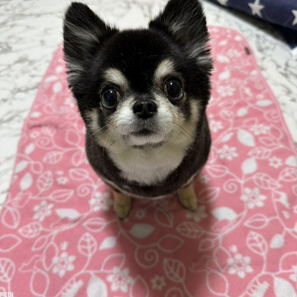 まろくん