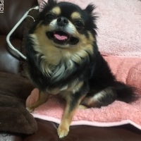 王子郎くん