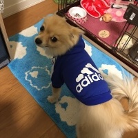 にょぜちゃん