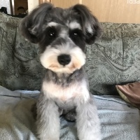 ムロちゃん