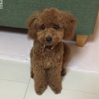 ララちゃん