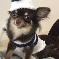 Simejiちゃん