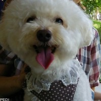 くるみちゃん