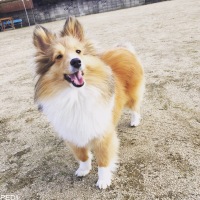 べるちゃん