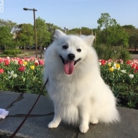 毛糸ちゃん
