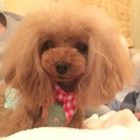 Rianちゃん