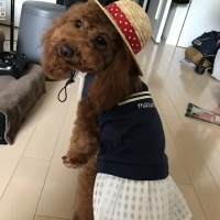 チョコちゃん