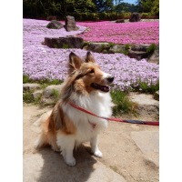 花奈ちゃん