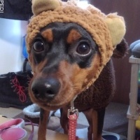 さくらちゃん