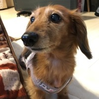 ミントちゃん