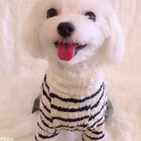 愛ちゃん