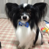 GAROくん
