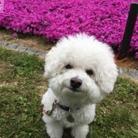 あずちゃん