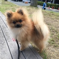 マロくん