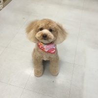 ぷうちゃん