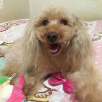 こうきくん