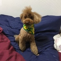 さぶろうくん