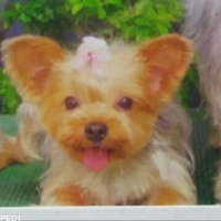 ララちゃん