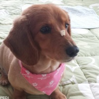 ミルクちゃん