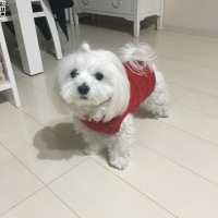 なごみちゃん