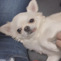 バブちゃん