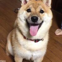 マリちゃん