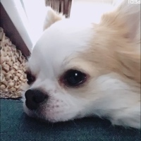 ジヨンくん