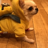 うたちゃん