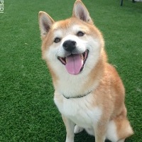 福くん