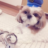 マロンくん