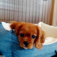 つむぎちゃん