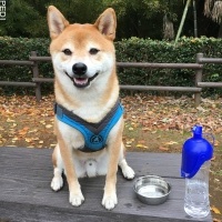 竜くん