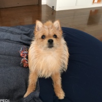 ととちゃん